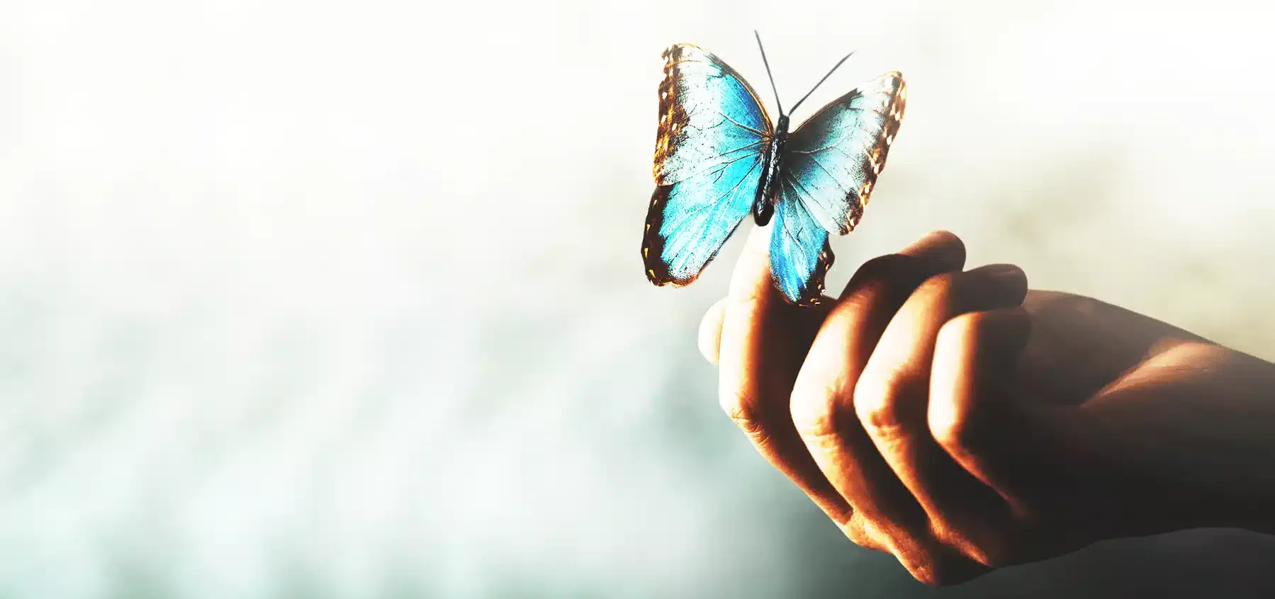 Leading Apparel Buying House in India - Trustworthy End-to-End Solutions